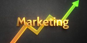 Criação de conteúdo interativo para Polos EAD: Quizzes, testes e simuladores.